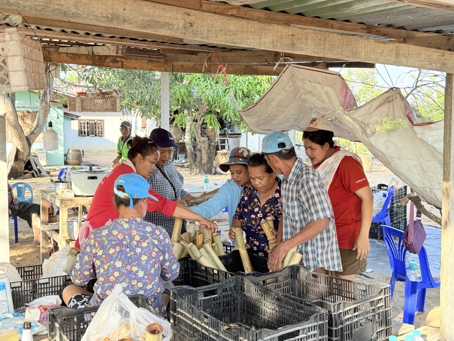 สทร. สนับสนุนประเพณีบุญข้าวหลามชุมชนหาดสุชาดา