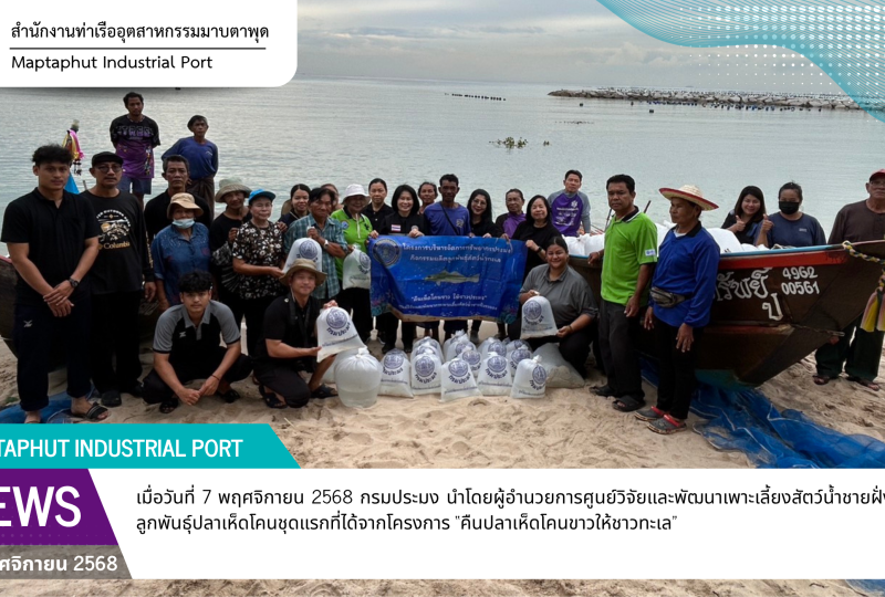 กรมประมงคืนปลาเห็ดโคนขาว ให้ชาวประมงระยอง